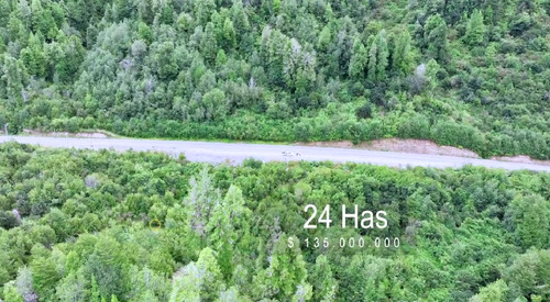 Invierte En 24 Has En El Yungue, Patagonia Norte