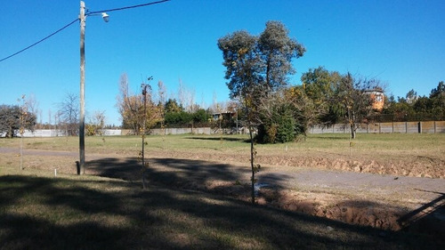 Lote En Bº Semicerrado El Álamo, La Bota