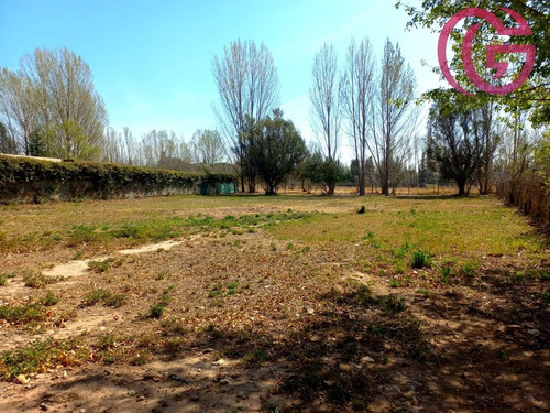 Imagen 8 de 12 de Greenwood Inmobiliaria Vende Ultimo Lote Disponible En Barrio Rincon Cepas De Malbec - Vistalba
