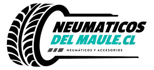 Neumatico 205/50 R17 93w Sa37 Goodride Tl Xl