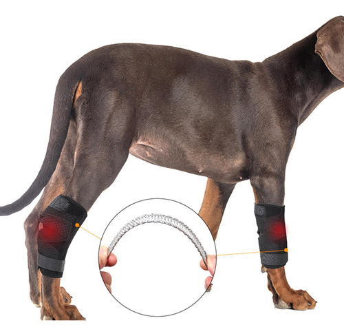 Li Codo De Apoyo For Patas De Perro La Xl