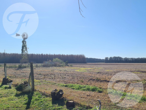 Oportunidad De Inversión En San Pedro Sobre Ruta 9 I Parador La Granja Con Salón Para 850 Comensales I Con Bajada Oficial Sobre Rn9 I Una Casa Con Pileta