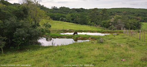 Imagem 8 de 15 de Fazenda Para Venda Em Barra Do Ribeiro, Douradilho - Barra Do Ribeiro - Rs, 3 Dormitórios, 2 Banheiros - 4010_1-1822734