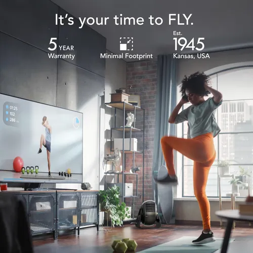 Ventilador De Fitness Vornado Fly Max High Velocity Con Mand