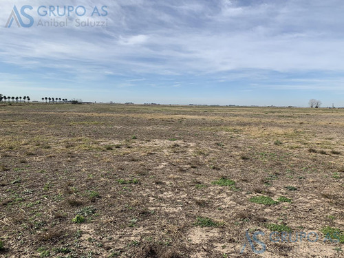 Excelente Campo Agricola De 62,73 Has.