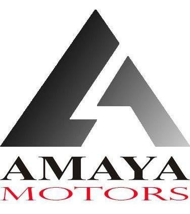 Renault Sandero Stepway 1.6 Privilege Amaya Motors!!!