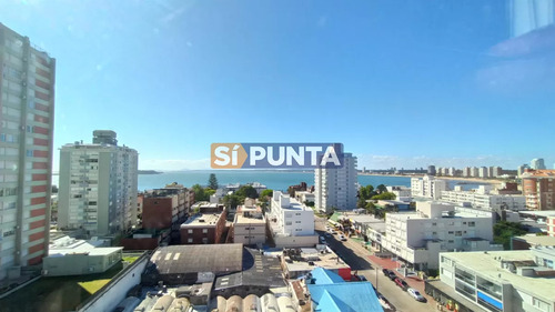 Apartamento En Alquiler En El Corazón De Punta Del Este - Península