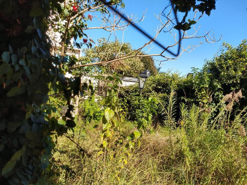 Casa Venta 4 Dormitorios 2 Baños 1 Cochera Terreno 10 X 30 Mts - 300 Mts 2 - La Plata