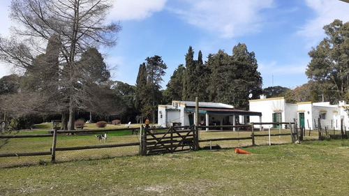 Campo C/ Caballerizas Y Casa Colonial - Villa Elisa