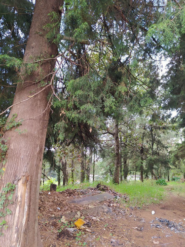 Imagen 14 de 23 de En Venta 3 Terrenos En Huitzilac, Morelos.