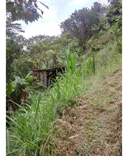 Venta Finca En Caldas