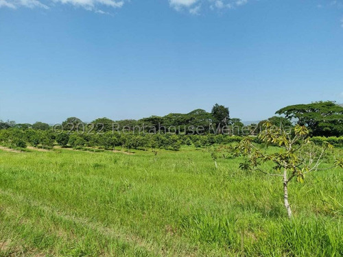 Finca Productiva De 114 Hectareas, En Altos De Carabobo, Tiene 6 Transformadores, 2 Bombas De 5 Y 10 Caballos, 2 Lagunas, Tierras Fértiles, (cosecha De Varias Plantas) Posee 2 Casas,