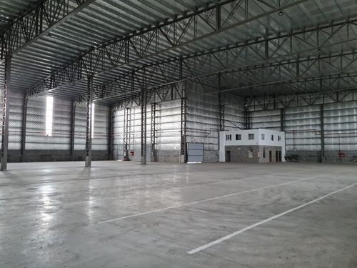 Imagen 6 de 13 de Nave De 2500 M2 A Estrenar.