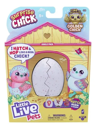 Pollito little cheap live pets