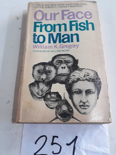 Our Face From Fish To Man William K.gregory