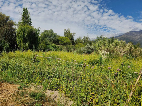 Hacienda De 5.000 M² En Lo Cañas Con Riego (173166)