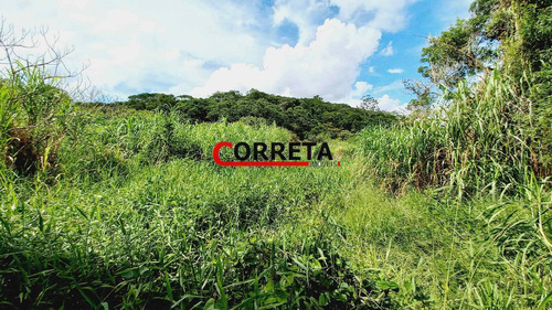 Imagem 2 de 15 de Ótima Area De 42000 M² Com Nascentes Dágua E Lago Na Rodovia Bunjiro - 524