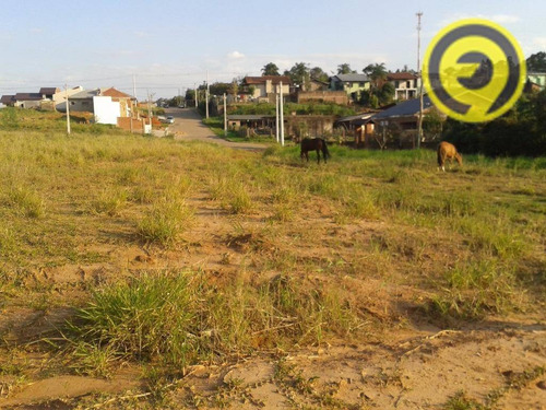 Imagem 2 de 20 de Terreno Residencial À Venda, Centro, Estância Velha. - Te0017