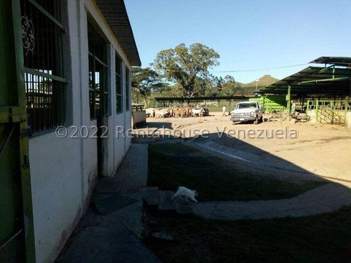 Julio Latouche 25-16896 Finca Ganadera En Venta Carabobo, 267 Hectáreas, Casa Principal De 550 Mts2, Dos Lagunas Para Riego.