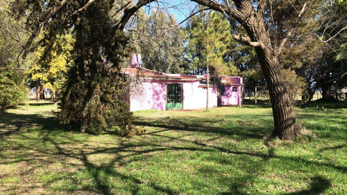 Imagen 22 de 22 de Excelente Chacra De 55 Hectareas Con Casa, Mejoras Y Luz Electrica En Las Flores
