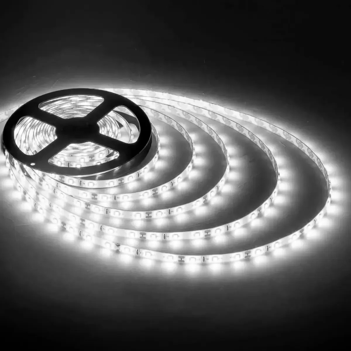 Lexmana LR923 5050 - Blanco frío 5 m - IP44