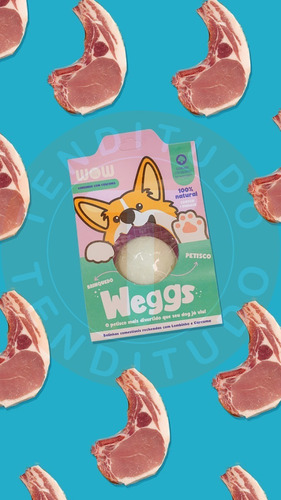 Bolinha Petisco Natural Comestível Lombo Curcuma Weggs Wow P
