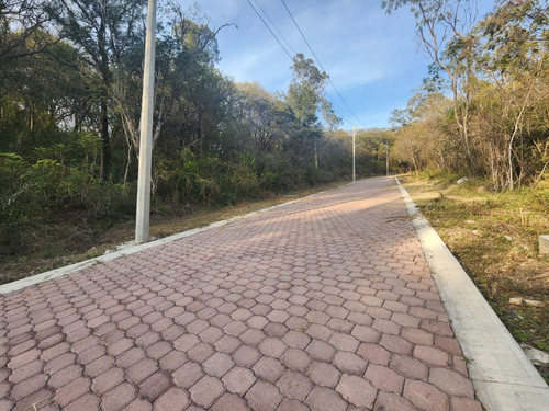 Venta Lote Gladiola 37 Con Vistas Panorámicas, Proyecto Incluído Y Todos Los Servicios Cerca De Las Amenidades De Fracc Rancho San Diego Ixtapan De La Sal Edomex