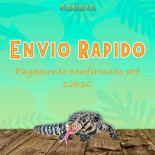 Imagem 4 de 6 de Ração Para Jabuti 280g - Terrestre Pets - Premium