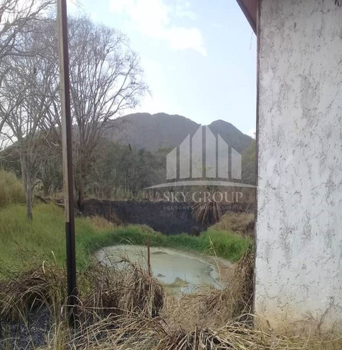 Bejuma Sabaneta Carabobo
