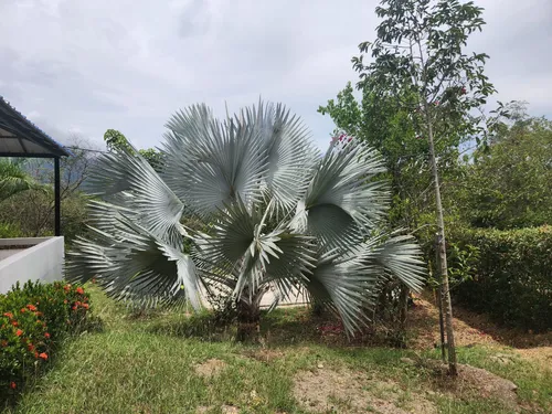 Finca En Venta En Vereda Chorquina. Cod V12649
