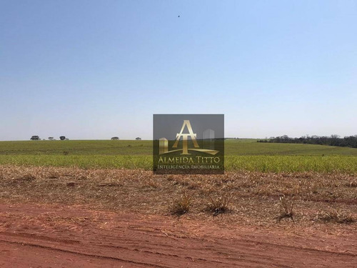Imagem 10 de 18 de Excelente Fazenda Para Venda Em Nipoã - Sp - Confira!!!! - Fa0056