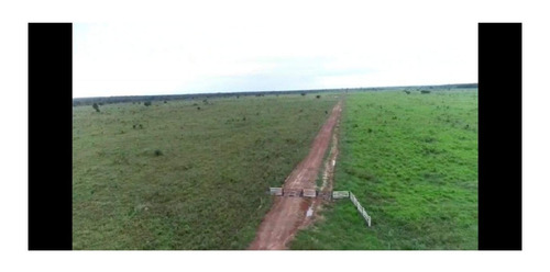 Imagem 7 de 22 de Fazenda 1958 Hectares, Planta 1500 Hectares, Rica Em Água Com Rios, Açudes, Casas, Curral, Galpões, Poços Artesianos, Terra Fértil - Fa00237 - 70701334