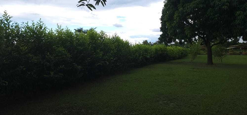 Imagen 3 de 13 de Granja Avícola- Porcina En Barinas Cerca Del Centro