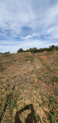 Imagem 21 de 28 de Terreno Em Esmeraldas - Te00533 - 71042734