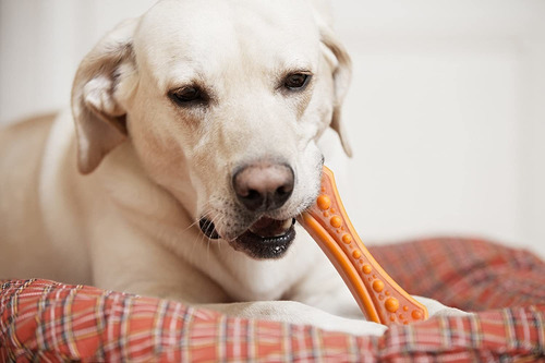 Imagen 7 de 8 de Hartz Chew 'n Clean Bacon Juguete Masticable Para Perro Con