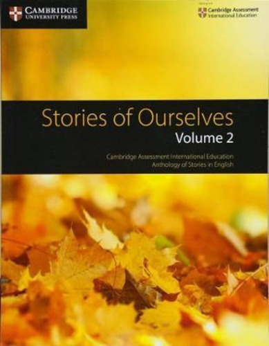 Stories Of Ourselves Volume 2 / Vvaa
