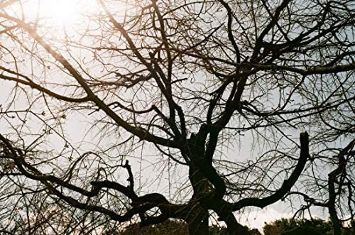 135 Fujifilm 200 Us Fa 36ex 3cd