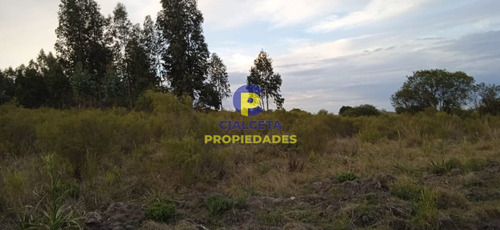 Imagen 3 de 12 de 5 Hectáreas, Entrega 8.000 Y El Saldo En Cuotas De 593 U$s