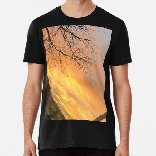 Remera Hermoso Atardecer Naranja Algodon Premium