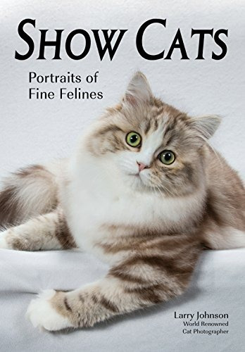 Show Cats Portraits Of Fine Felines