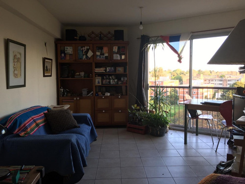 Imagen 4 de 11 de Apartamento, Dos Dormitorios, En Buceo.