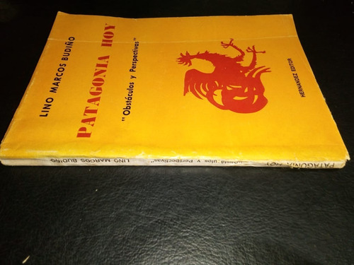 Libro Patagonia Hoy Lino Marcos Budiño Intonso