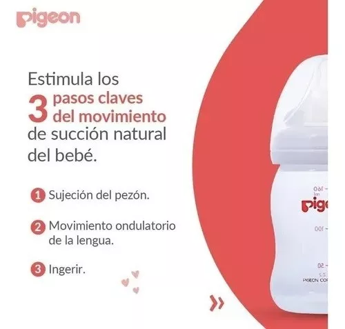 Segunda imagen para búsqueda de pigeon