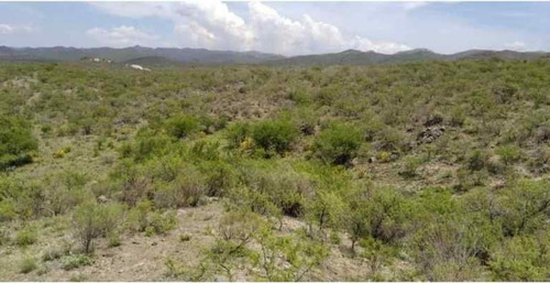 Imagen 14 de 29 de Venta Campo Falda Del Cañete-8,5 Has- Con Vista