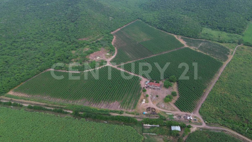 Venta Rancho Los Asmoles Colima