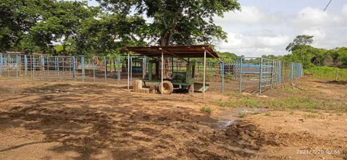Imagen 17 de 28 de Finca En Venta Guarico