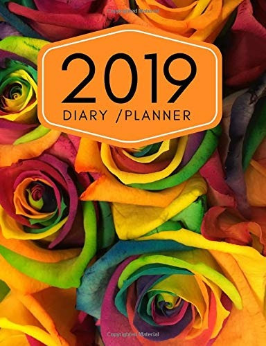 2019 Diary Planner Page A Day (365 Pages) Daily Diary  Plann