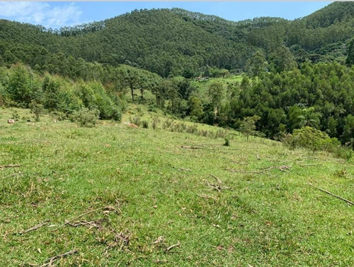 Imagem 2 de 2 de Ct Terreno Barato Para Sítio No Interior De Sp
