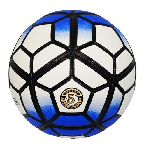 Pelota Futbol Blue Dynasty N°5