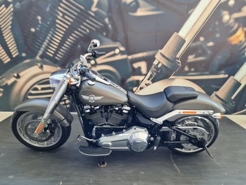 Imagem 4 de 9 de Fat Boy 107 Flfb - 2019